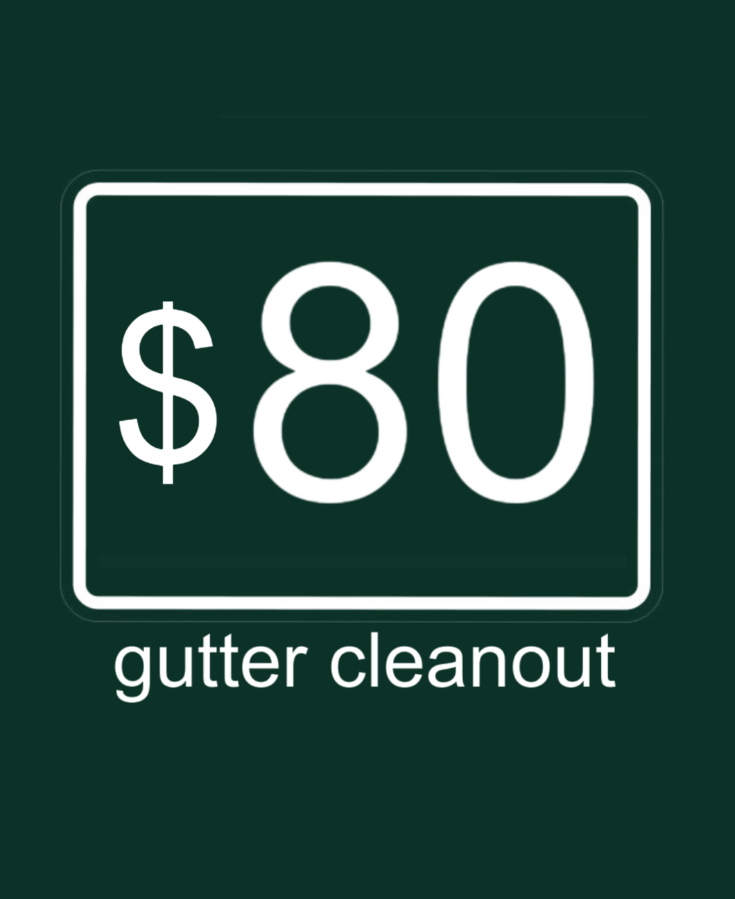Gutter clean out